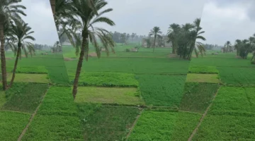 طقس اليوم يشهد أجواء معتدلة نهاراً وتحذيرات من تقلبات جوية خلال الليل